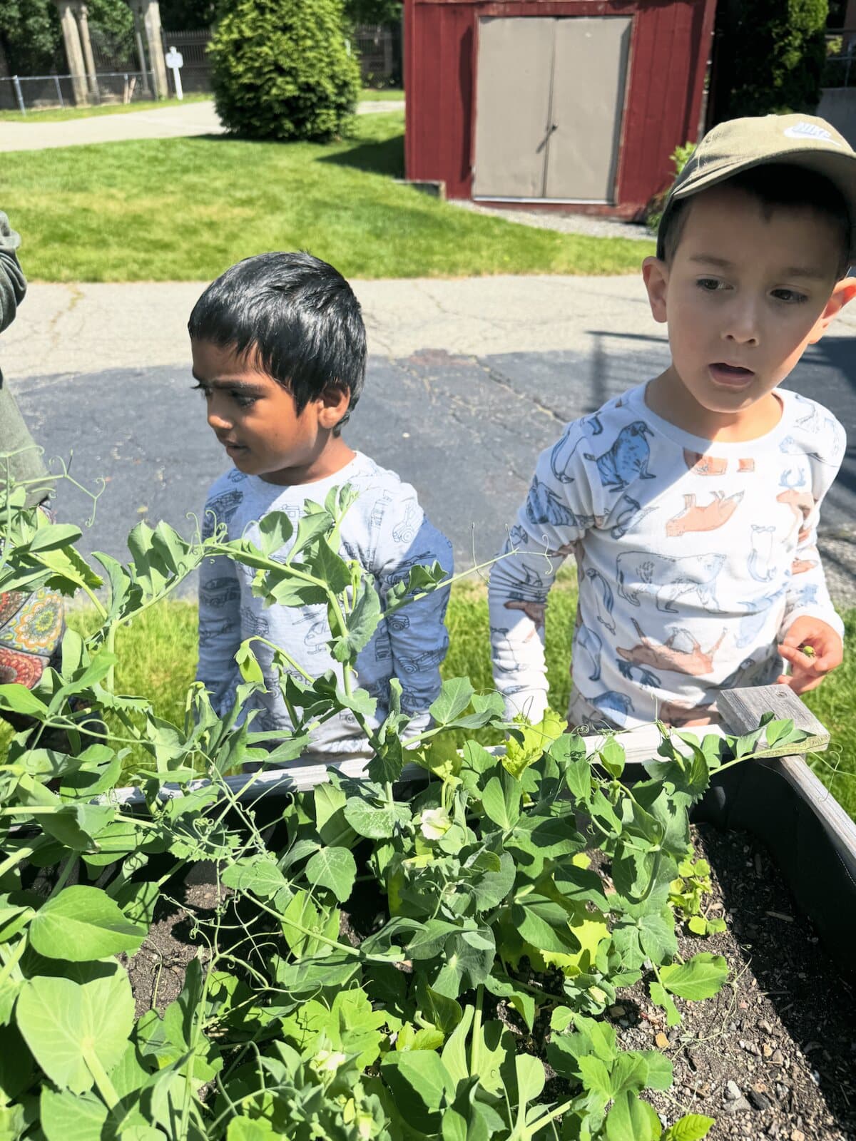 Gardening and outdoor fun at summer camp