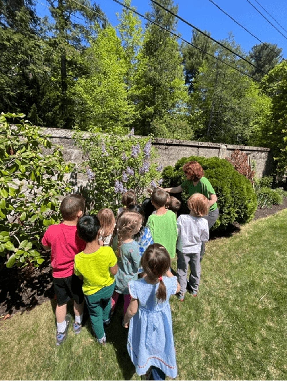 Summer campers and their teacher looking at a flowering lilac in the garden at Beacon Montessori in Weston, MA